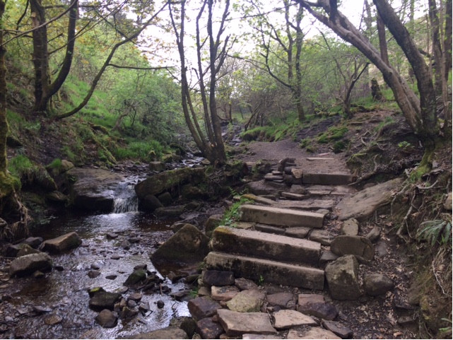 Yorkshire-2 Cater-Force Supports World Environment Day  